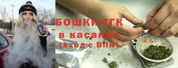 трава Бородино