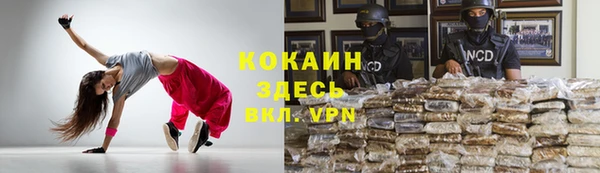 трава Бородино