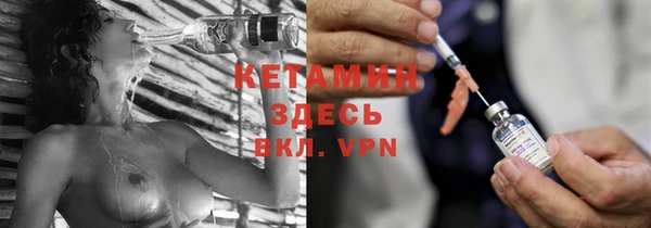 трава Бородино
