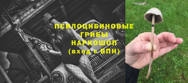 прущие крисы Бронницы