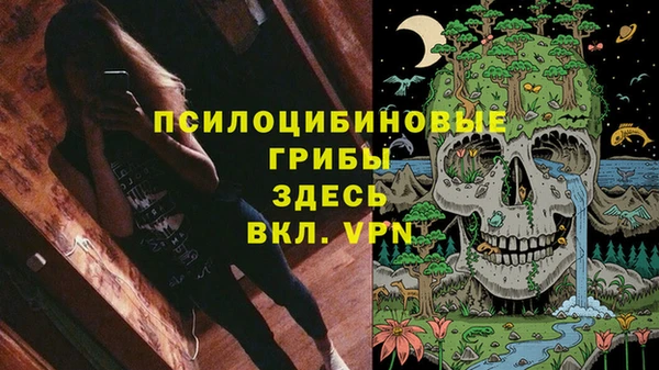 прущие крисы Бронницы