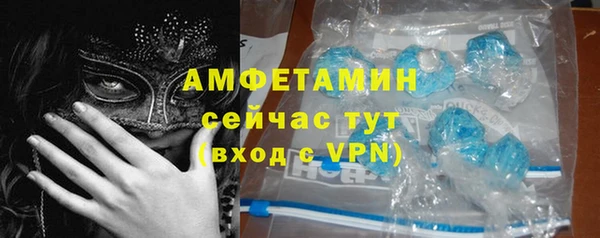 трава Бородино
